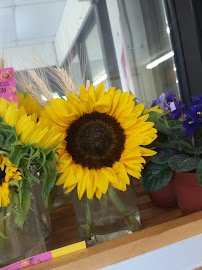 Miller's Your Independent Grocer Annapolis Royal