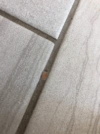 Flooring Now