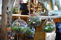 Appealing Environments Rock Shop