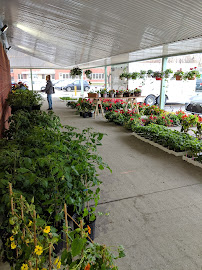 Public Market Drummondville