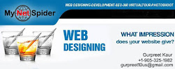 My Net Spider