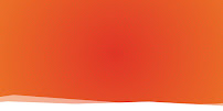 New Day Marketing Co.
