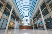 NexToronto