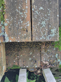Good Riddance Pest Control - North Bay, ON, Canada