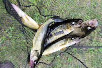 North Bay Outfitters