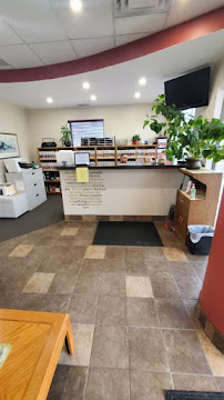 One Village Family Chiropractic Community