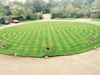 Loftus Landscapes Limited