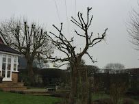 Loftus Landscapes Limited