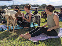 The Little Yogi - Goat Yoga Tampa
