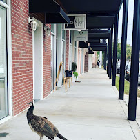 Yoga Loft Tampa