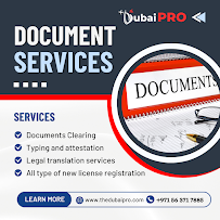 Dubai Visa Services | The Dubai Pro