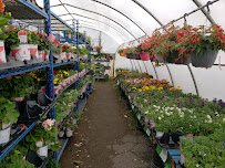 Hutton's Your Independent Grocer Blind River