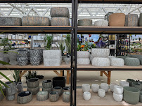 Vermeer's Garden Centre & Flower Shop