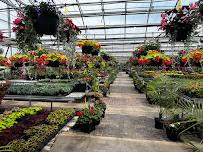 The Mill Greenhouses & Garden Centre