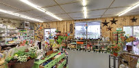 The Mill Greenhouses & Garden Centre