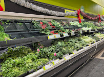 FreshCo Hwy 2 & Kendalwood