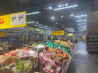 Qais's NOFRILLS Whitby