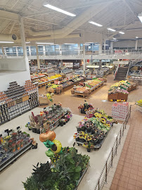 Loblaws Baseline Road