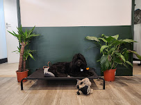 Smiths Salon