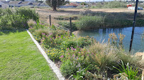 The Green Zone - Landscaping*Irrigation*Maintenance