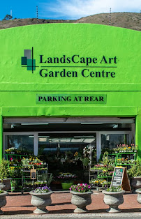 Easigrass Cape Town
