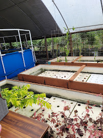 A Land of Delight Natural Farm & Nursery