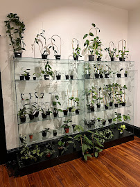 The Nursery Project USA