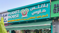 Dream Grass UAE