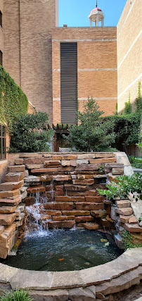 Texas Health Presbyterian Hospital Dallas