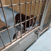 North Texas Medical Center