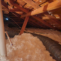 Service Experts Dallas