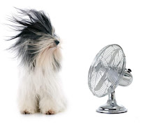 Berry Best Cooling & Heating