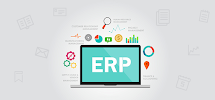 Q Soft Web & Software Solutions