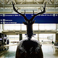 Quad Cities International Airport