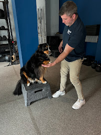 RESPORT Chiropractic & Physical Therapy