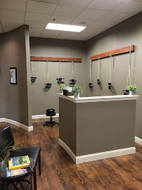 The Chiropractic Place