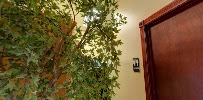 Ridge Chiropractic Center