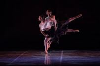 The Chicago Academy For the Arts