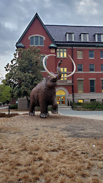 University of Illinois Foundation