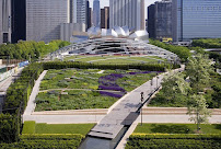 Lurie Garden