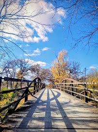 Independence Grove Forest Preserve