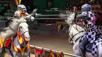 Medieval Times Dinner & Tournament