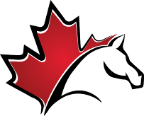 Graphene Immigration Services Inc.