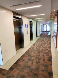 Pilkington Immigration - Markham