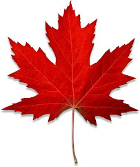 ILS Canada - Imran Zulfiqar