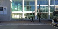 Scotia Law