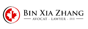 Bin Xia Zhang