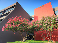 Laura Baez Torres Immigration Law