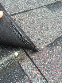 Trusty Toolbox Handyman Services LLC