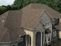 Raptor Roofing